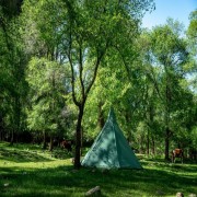 Hot tent camping close to nature