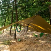 Hammock trap camping in the bush