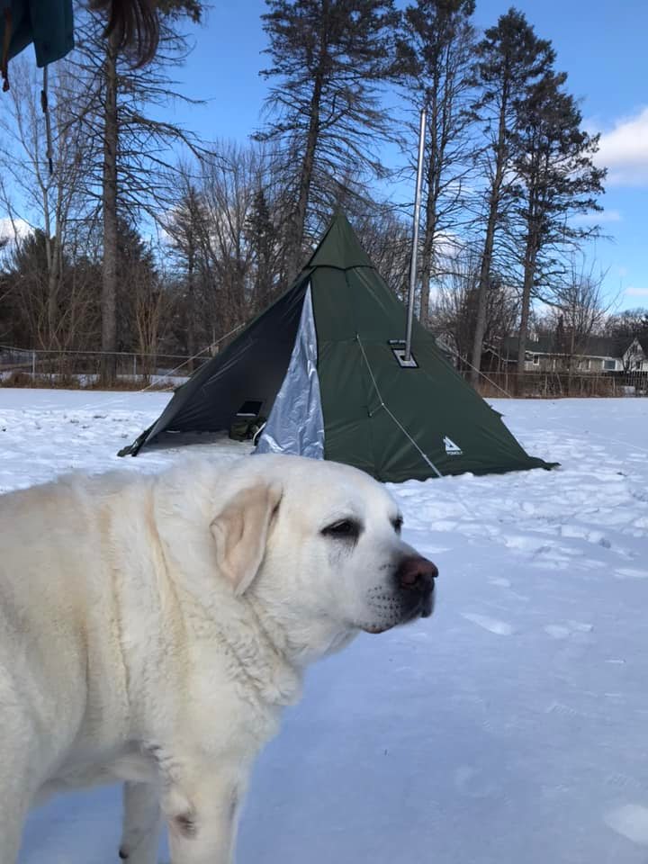 Have a winter camping with the dog  第2张